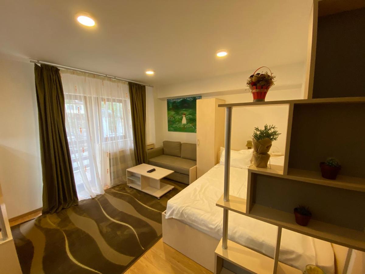 Sinaia Chic Minisuite Mirage-Self Check-In&Free Parking Εξωτερικό φωτογραφία