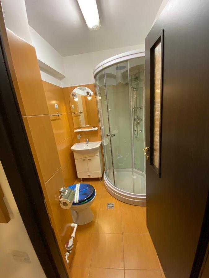 Sinaia Chic Minisuite Mirage-Self Check-In&Free Parking Εξωτερικό φωτογραφία