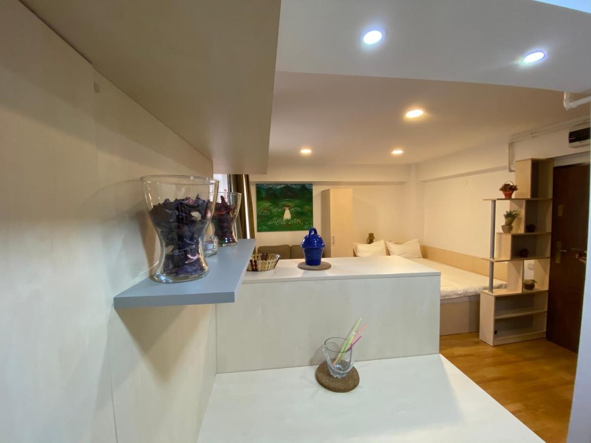 Sinaia Chic Minisuite Mirage-Self Check-In&Free Parking Εξωτερικό φωτογραφία