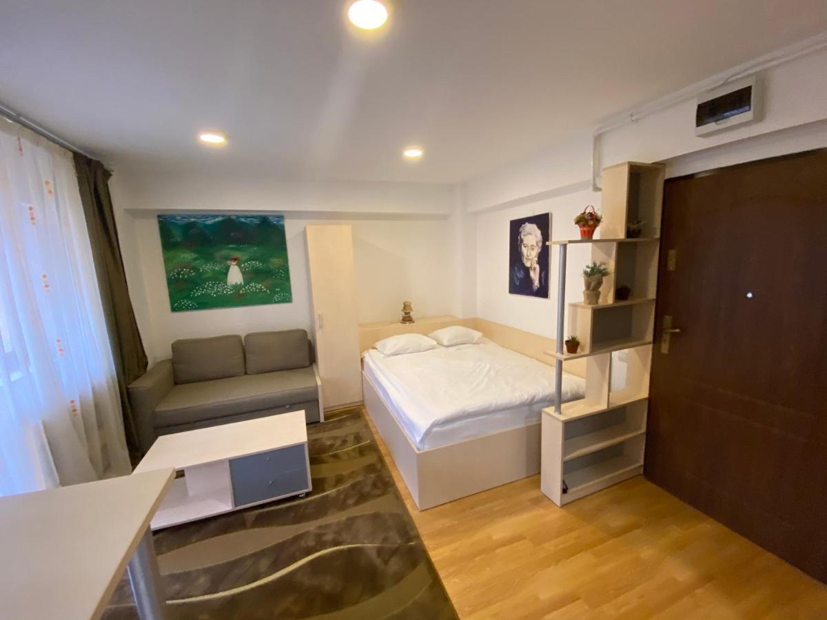 Sinaia Chic Minisuite Mirage-Self Check-In&Free Parking Εξωτερικό φωτογραφία