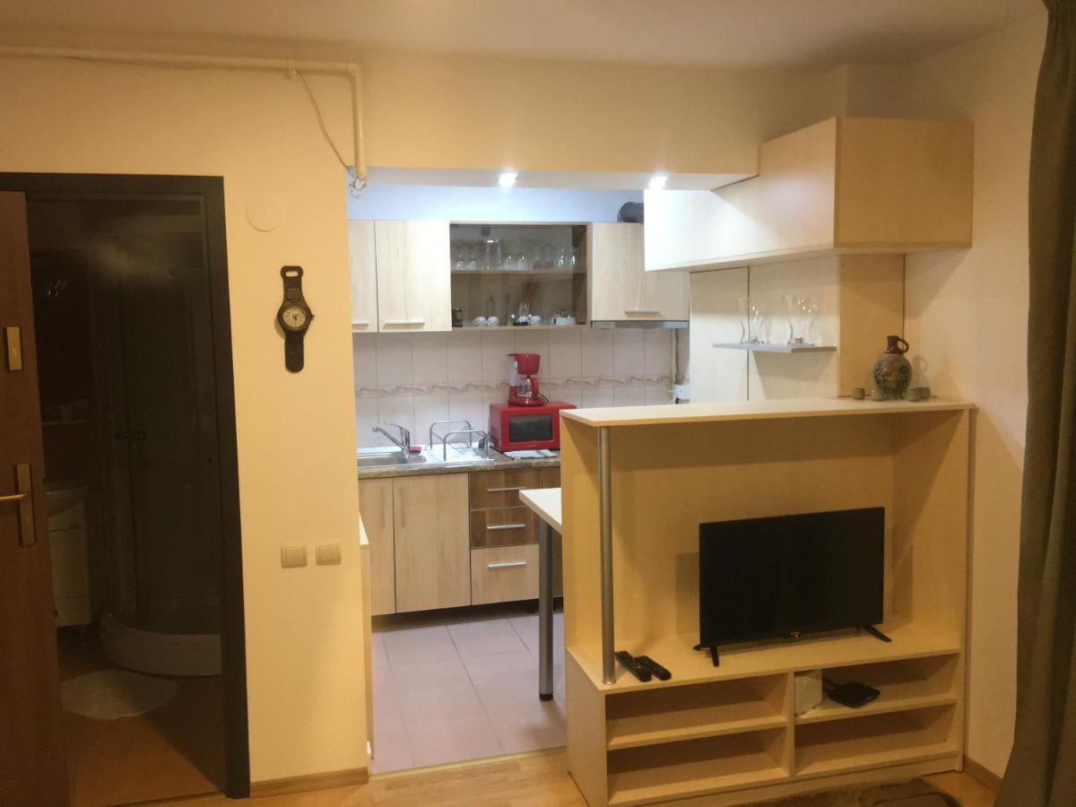 Sinaia Chic Minisuite Mirage-Self Check-In&Free Parking Εξωτερικό φωτογραφία