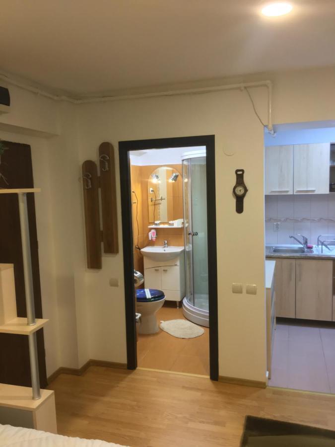 Sinaia Chic Minisuite Mirage-Self Check-In&Free Parking Εξωτερικό φωτογραφία