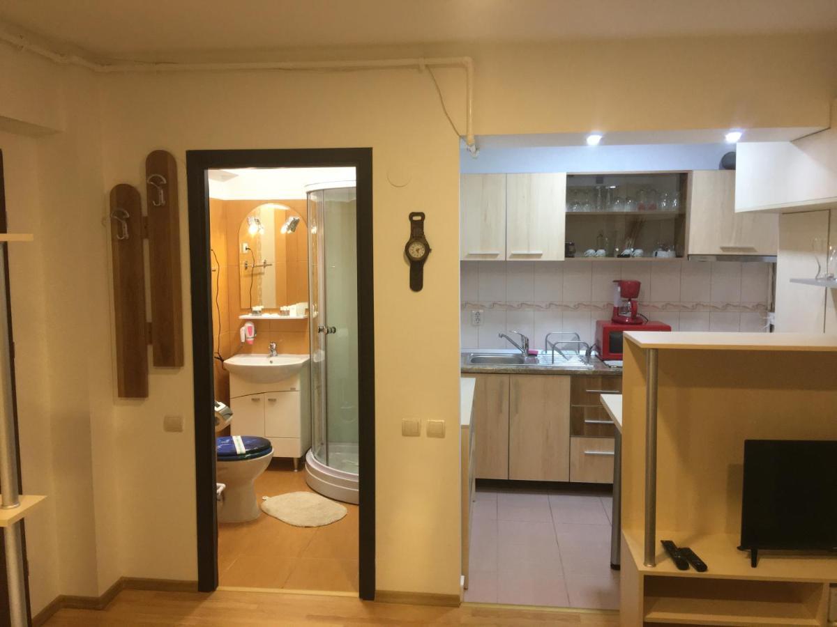 Sinaia Chic Minisuite Mirage-Self Check-In&Free Parking Εξωτερικό φωτογραφία